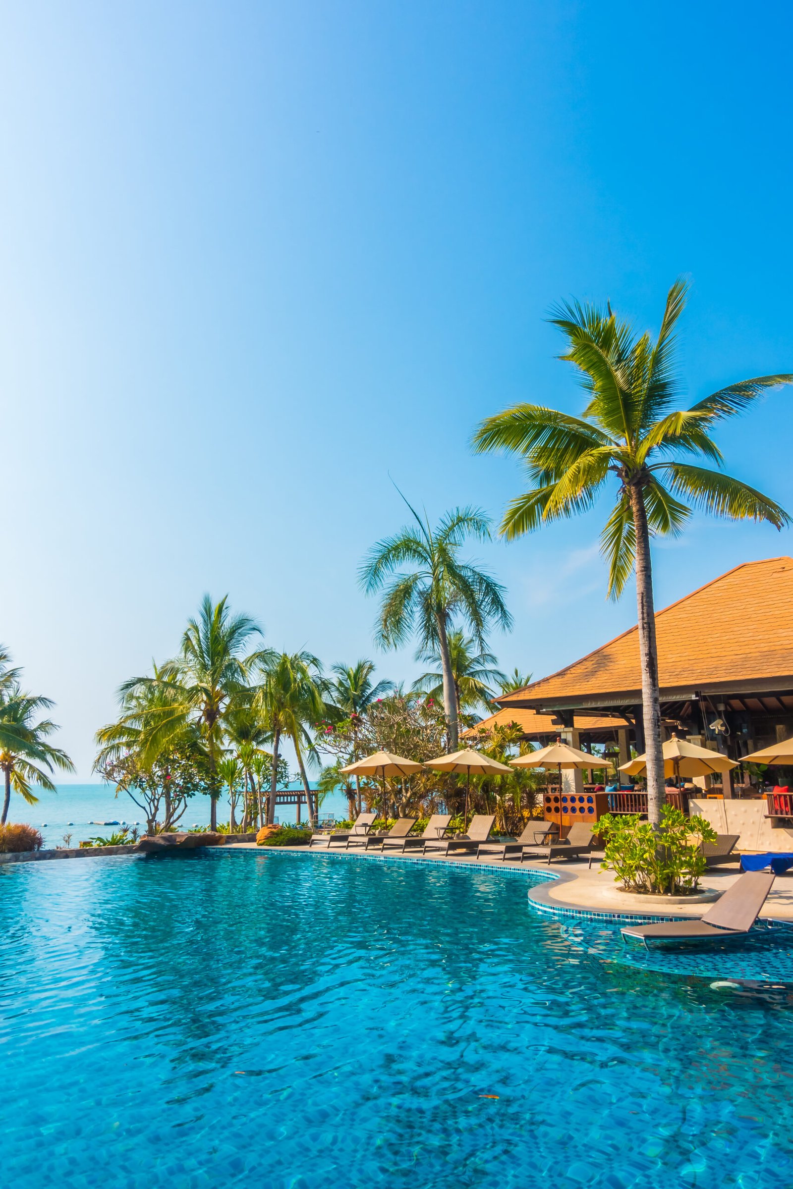 swimming pool 1 scaled