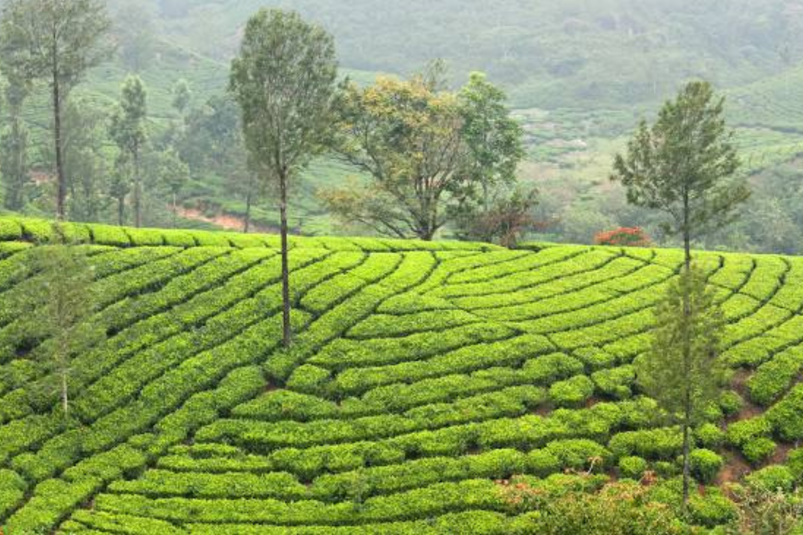 Untitled design 2025 08 26T124246.041